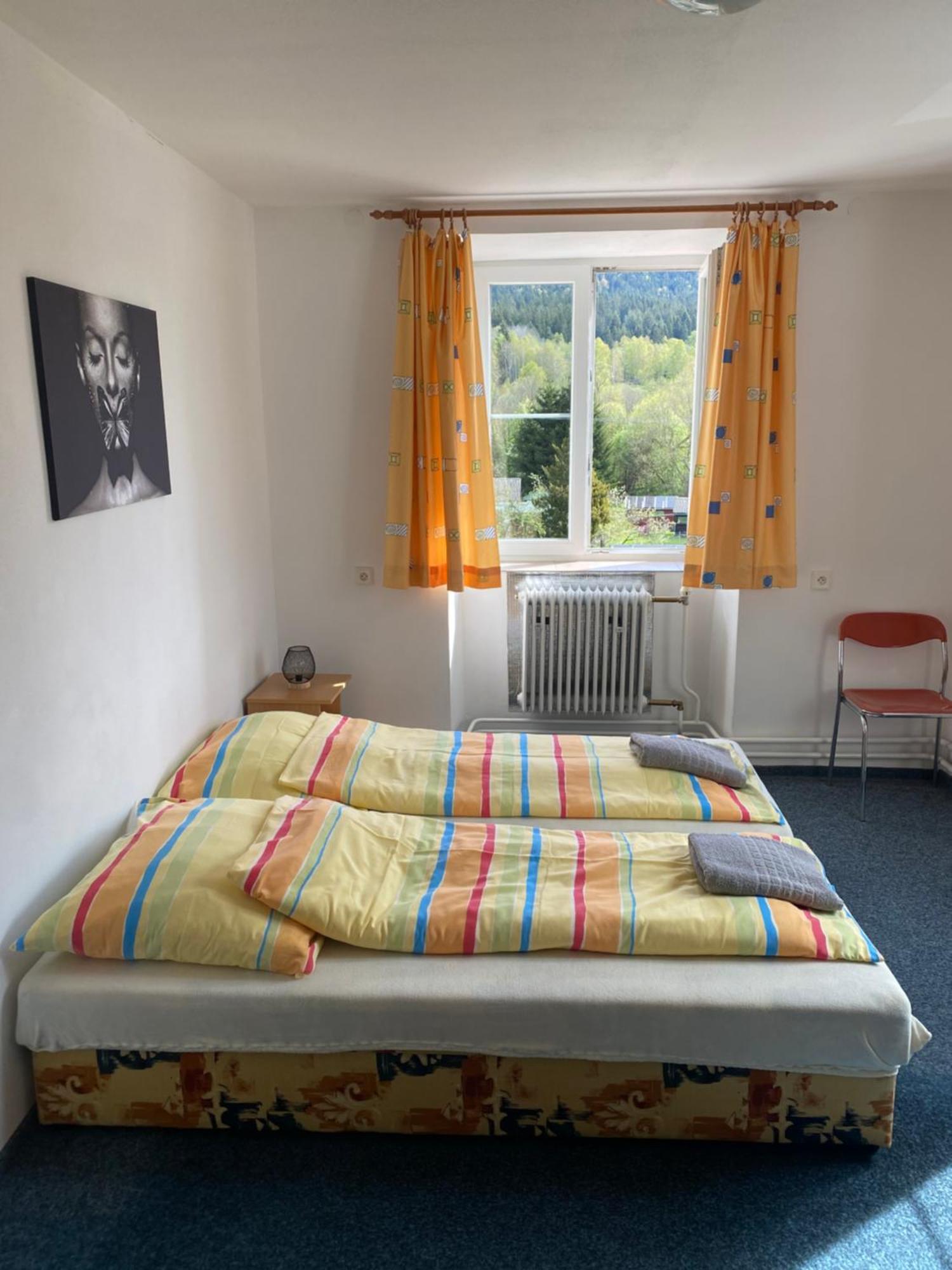Penzion Tereza Horní Vltavice Esterno foto